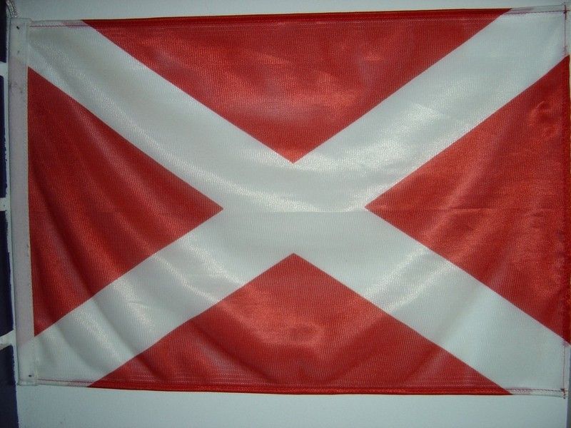 Que signale le navire qui arbore ce pavillon ?