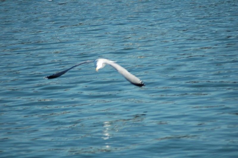 Un navire est considéré comme rattrappant lorsque :